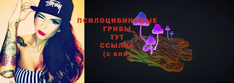 дарк нет телеграм  Андреаполь  Галлюциногенные грибы Magic Shrooms  закладка 